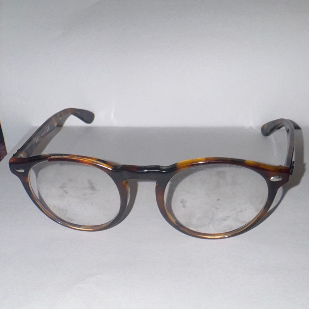 Ray-Ban Brown Tortoise Sunglasses